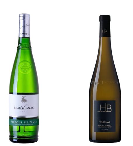 AOP Picpoul de Pinet