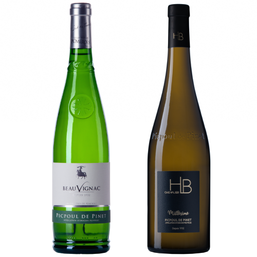 AOP Picpoul de Pinet